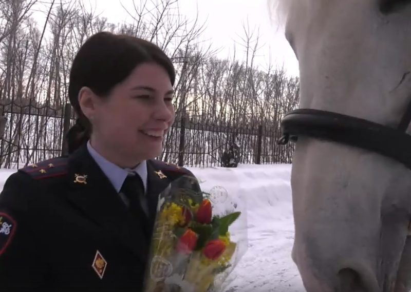 В Новосибирске всадник на белом коне дарил цветы женщинам