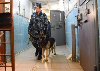 гуфсин по нсо