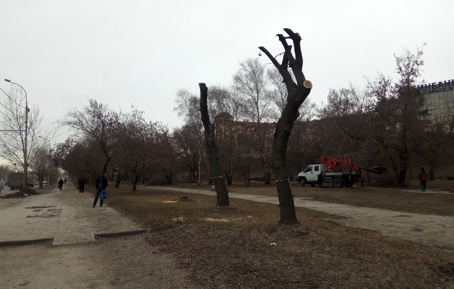 НДН.инфо