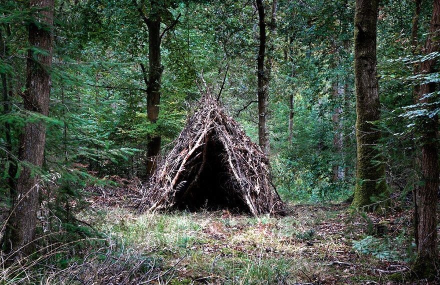 Мужчина заманил новую знакомую в шалаш, а потом ограбил ее в Новосибирске