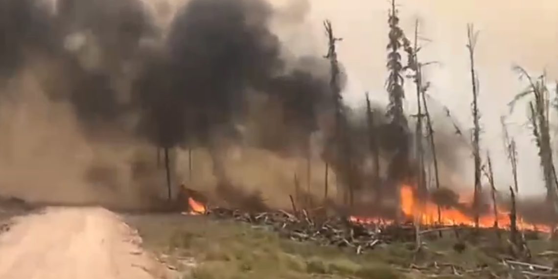 Павел Митковский