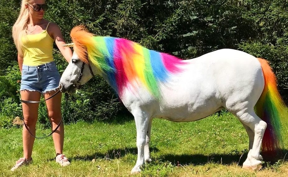 Новосибирский зоопарк