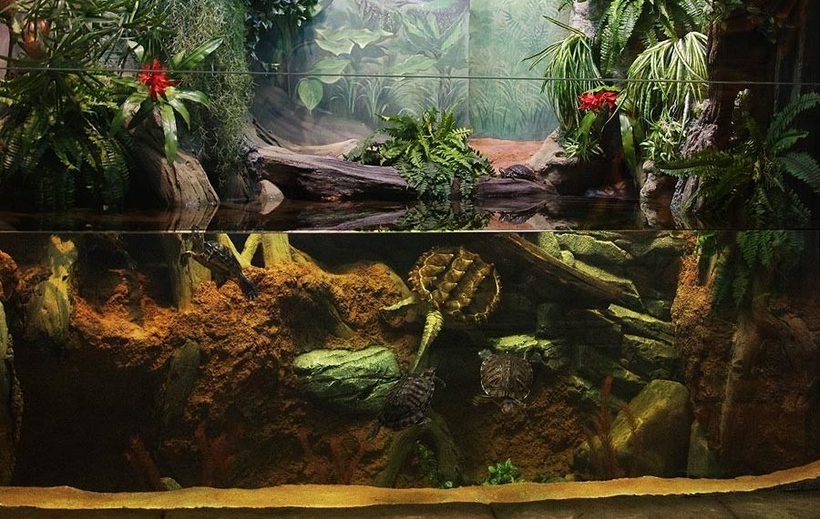 Открытые ресурсы