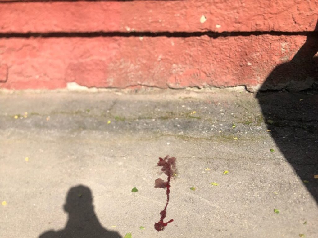 vk.com/incident_nsk