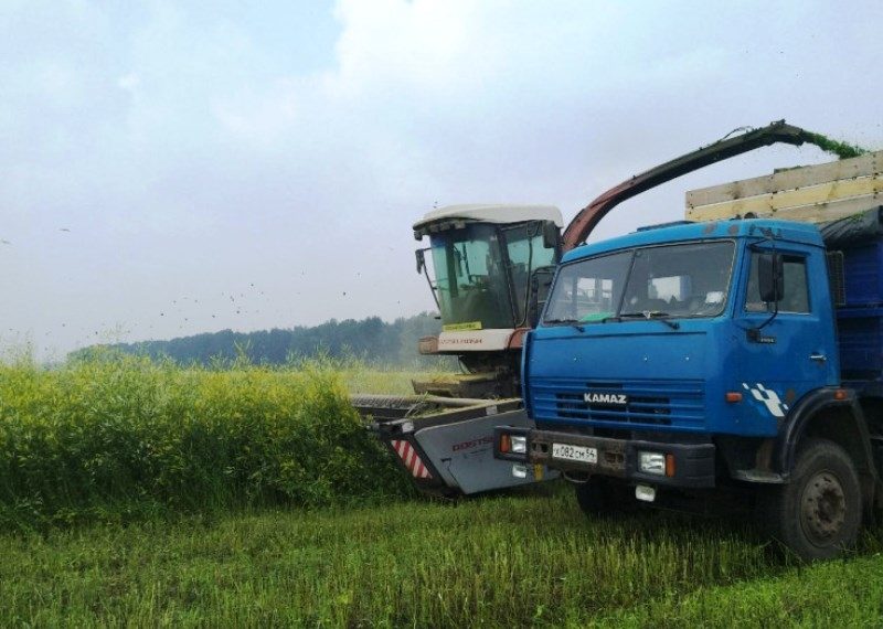 Аграрии НСО стали быстрее получать господдержку благодаря цифровым технологиям