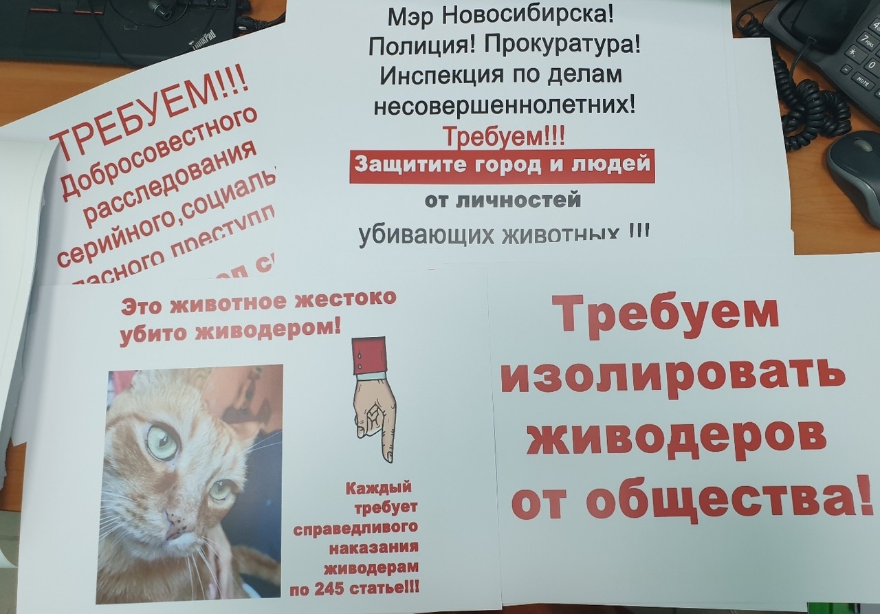 Митинг в защиту замученного кота Моти прошел под визг собак | НДН.Инфо