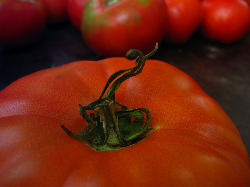 Новый сорт помидоров назвали в честь ученого из Новосибирска