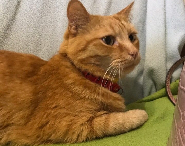 Родные берега