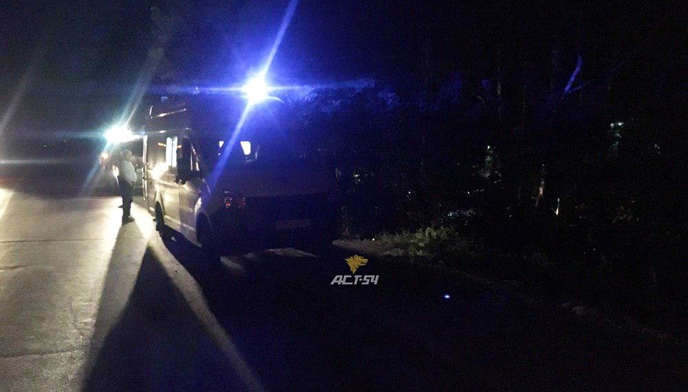 Спутник пьяной девушки на Mitsubishi погиб в ДТП в Новосибирске