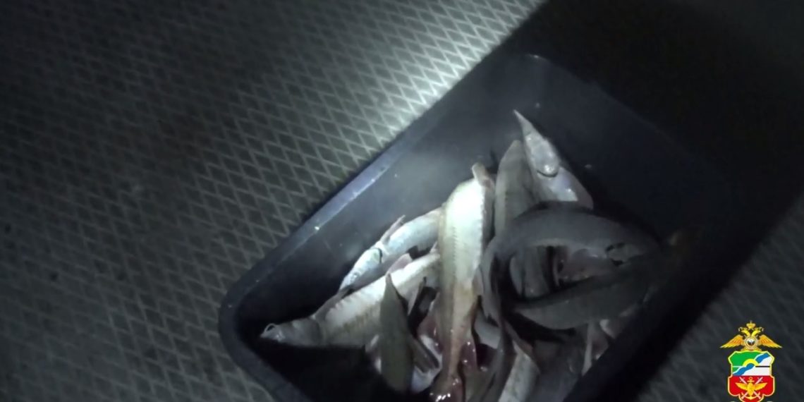 За рыбалку на Иртыше сибиряк заплатит 110 тыс. рублей