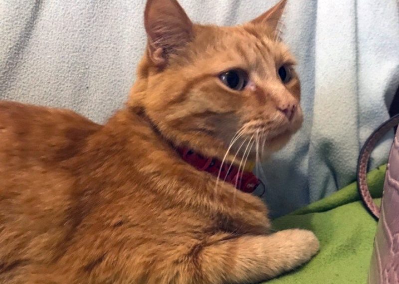 Ульяна Храмова