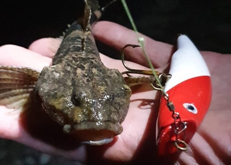 предоставлено романом хабловым