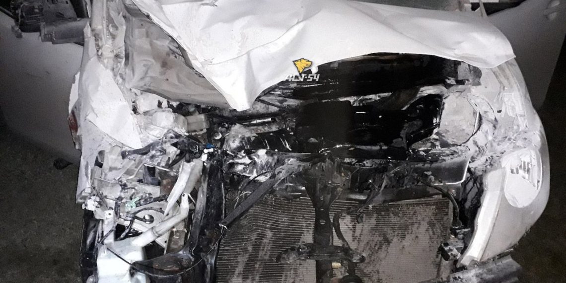 Лошадь разорвало на части после ДТП на трассе под Новосибирском