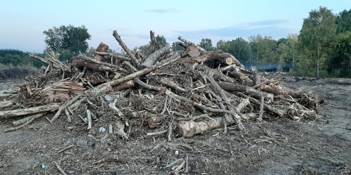 Михаил Рязанцев