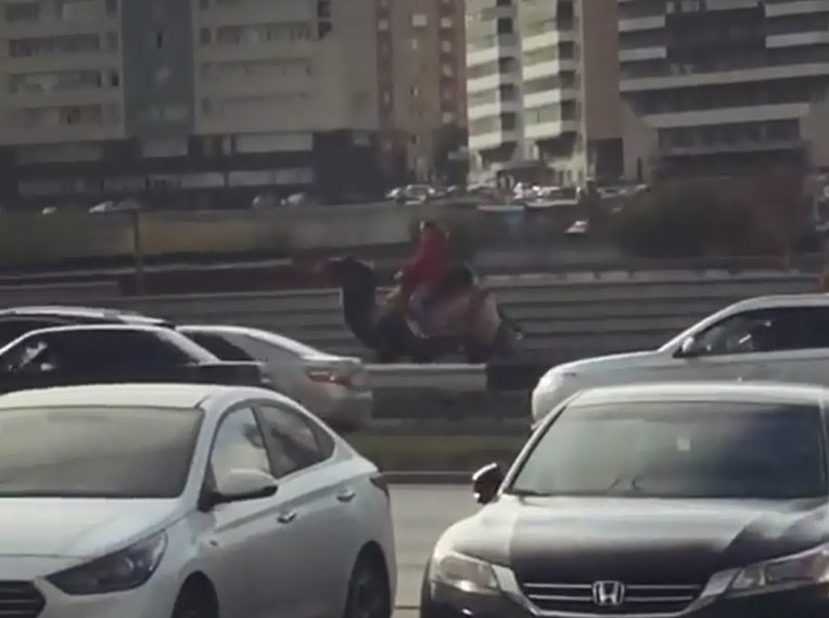 Девушка на верблюде обскакала пробку в Новосибирске