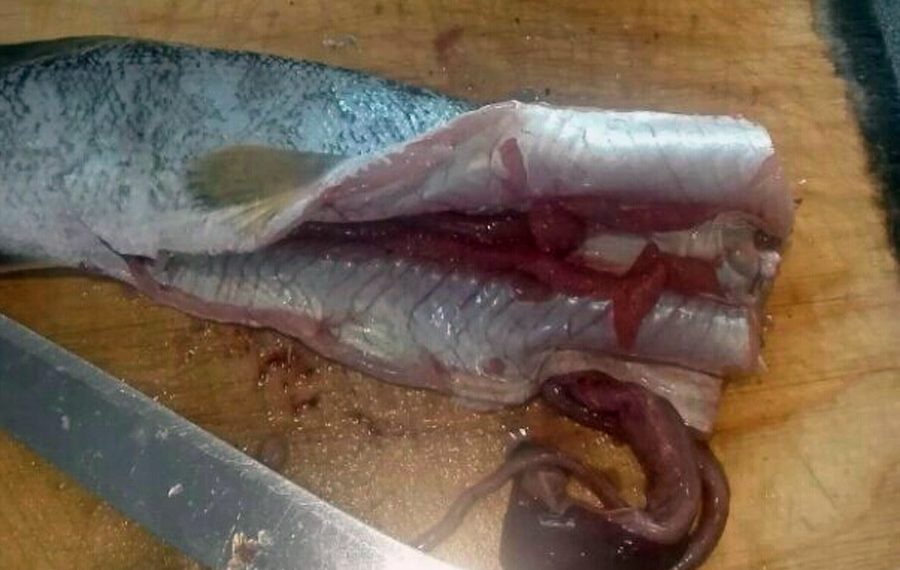 Денис Летнёв