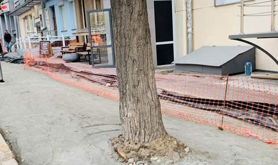 Анна Наволоцкая