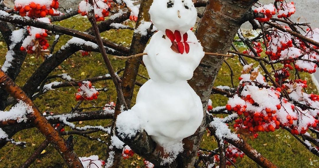 Выбираем лучшего: первые снеговики украсили улицы Новосибирска