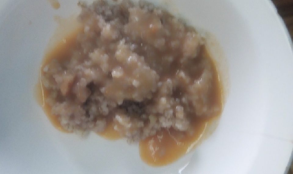 Гражданский патруль