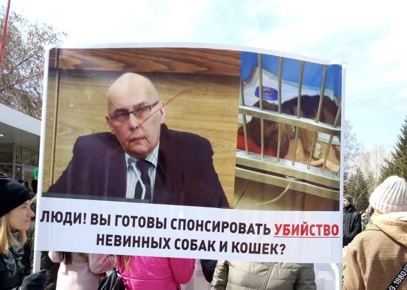 фото предоставлено участниками пикета зоозащитников