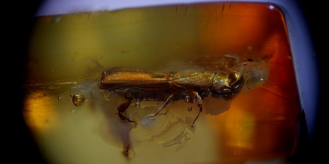 Владимир Анискин