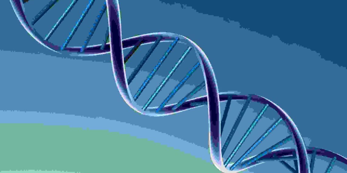 Новосибирские ученые создали уникальный расшифровщик ДНК