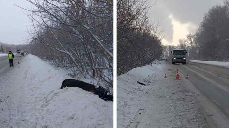 ГИБДД по Новосибирску