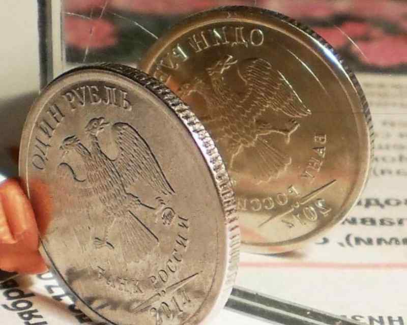 «Редчайший брак»: новосибирец просит дачу за один рубль