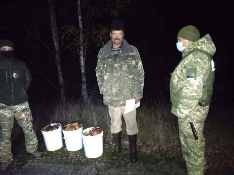 Двое мужчин собрали 40 килограммов радиоактивных грибов