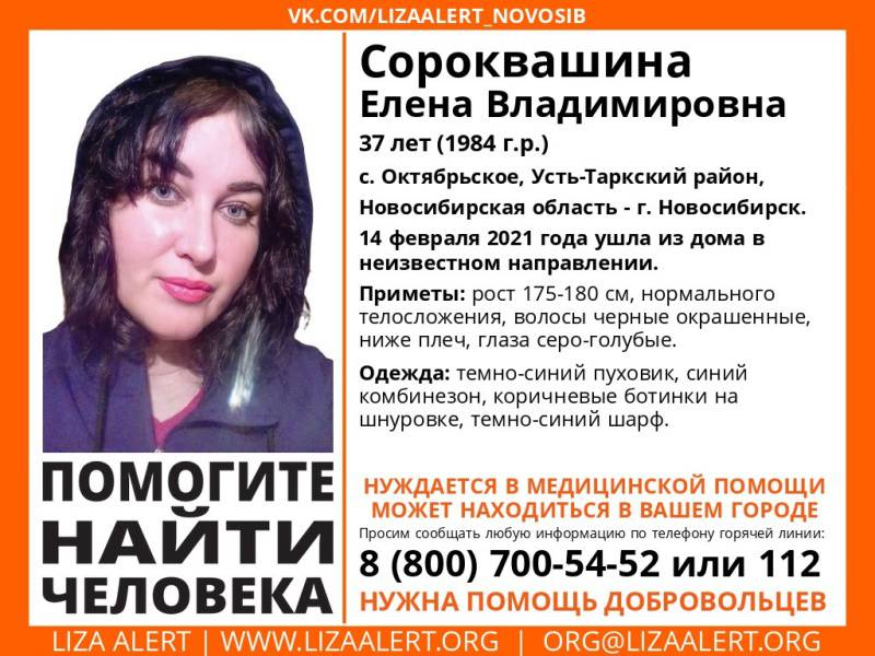лиза алерт
