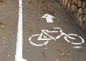 Велодорожку со столбами и кочками в новосибирской мэрии назвали экспериментом