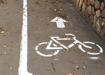 Гражданский патруль