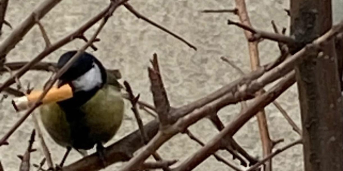 Подслушано Первомайка