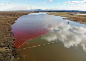 РОСПРИРОДНАДЗОР.РФ