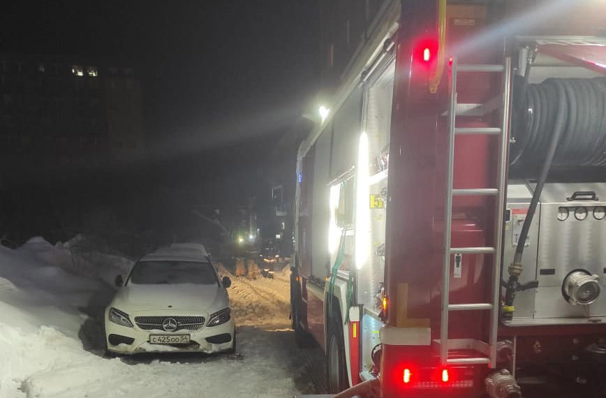 Животные погибли в пожаре в центре Новосибирска