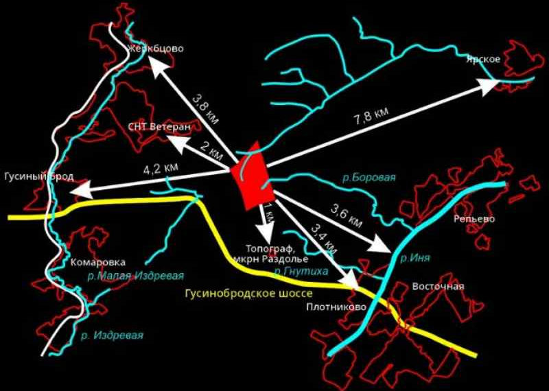 Предоставила Юлия Колеватова