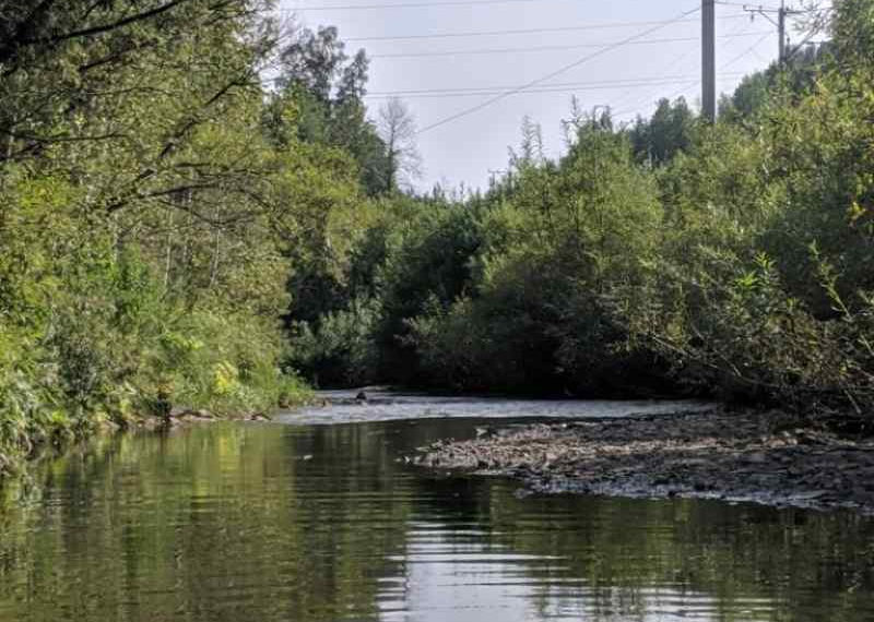 СООБЩЕСТВО В ВК "ПОМОЖЕМ РЕКЕ ИЗДРЕВОЙ"