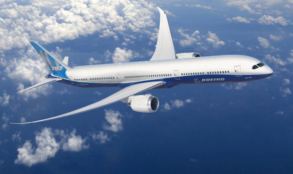 Подробности экстренной посадки японского самолета рассказали в аэропорту