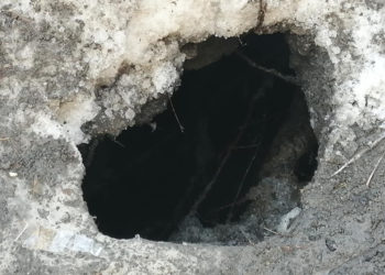 Вокруг Богданки