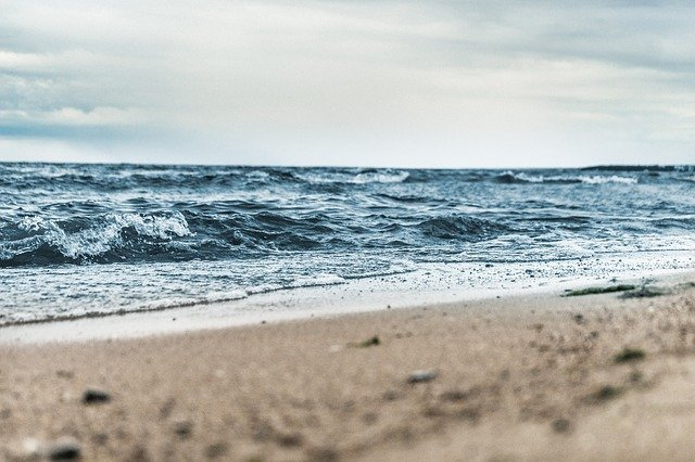 pixabay Pexels