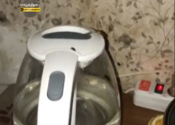 Полчища тараканов заполонили общежитие студентов-медиков в Новосибирске