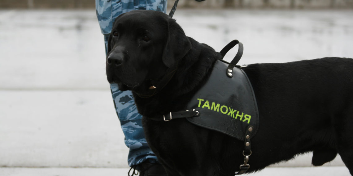 Сибирское таможенное управление