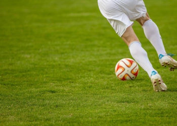 pixabay phillipkofler