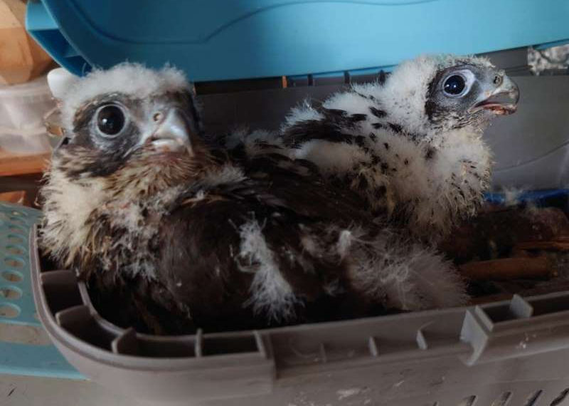 Экспедиционные картинки