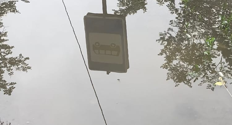 НДН.инфо Е. Погодаева
