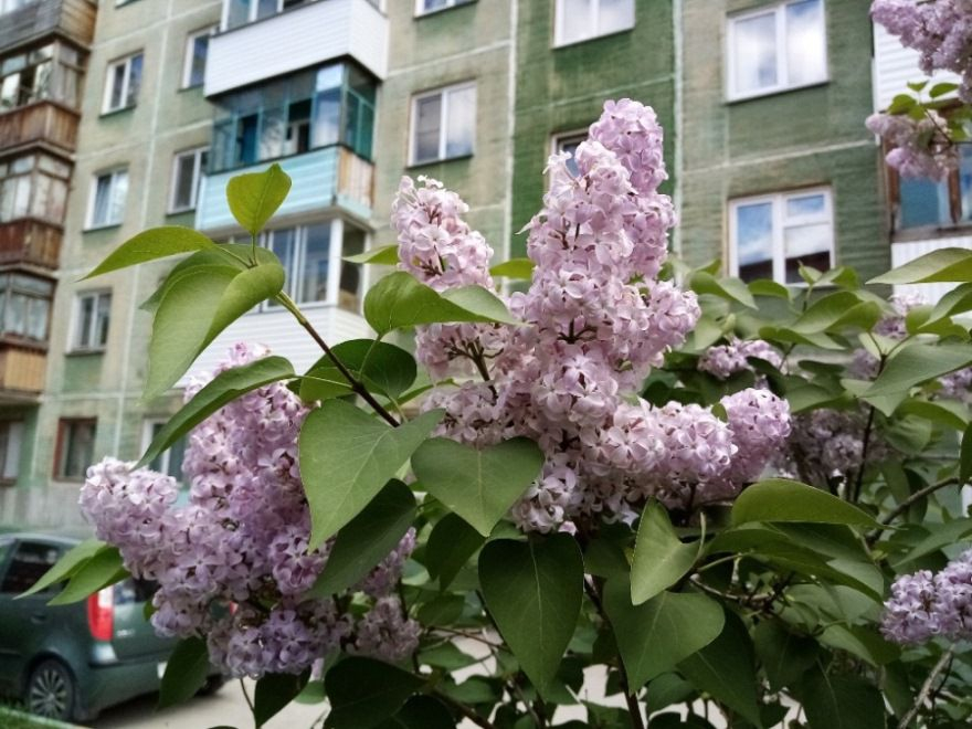 ндн.инфо