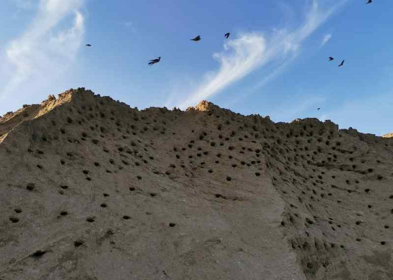 Наталья Плотникова