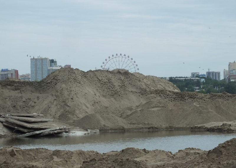 Алексей Маслов