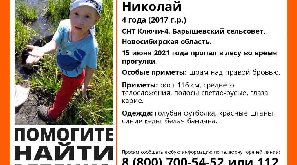 Поисковый отряд «ЛизаАлерт» Новосибирской области