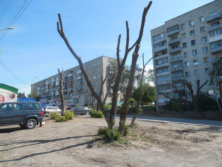 ндн.инфо